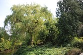 Enlarge photo 126