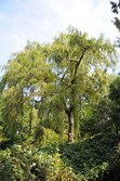 Enlarge photo 125
