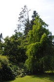Enlarge photo 129