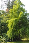 Enlarge photo 127