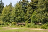 Enlarge photo 130