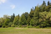 Enlarge photo 132