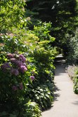 Enlarge photo 135
