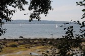 Enlarge photo 139