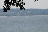 Enlarge photo 141