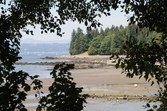 Enlarge photo 142