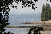 Enlarge photo 143