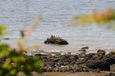 Enlarge photo 144