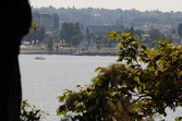 Enlarge photo 146