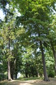 Enlarge photo 148