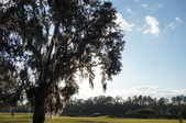 Enlarge photo 38