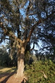 Enlarge photo 43