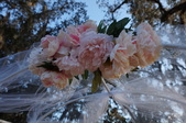 Enlarge photo 44