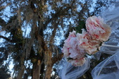 Enlarge photo 45