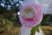 Enlarge photo 46