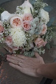 Enlarge photo 126
