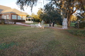 Enlarge photo 179