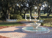 Enlarge photo 423