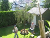 Enlarge photo 5