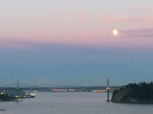 Enlarge photo 41