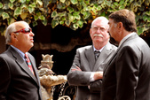 Enlarge photo 8