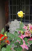 Enlarge photo 18