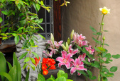 Enlarge photo 17