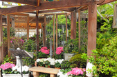 Enlarge photo 19