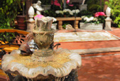 Enlarge photo 24