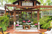 Enlarge photo 41