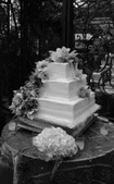 Enlarge photo 130