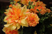 Enlarge photo 133