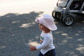 Enlarge photo 59