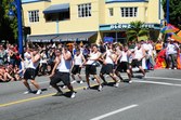 Enlarge photo 159