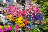 Enlarge photo 8