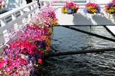 Enlarge photo 32