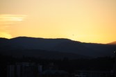 Enlarge photo 61