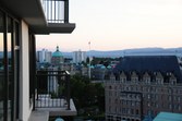 Enlarge photo 62
