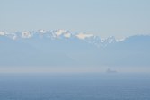 Enlarge photo 86