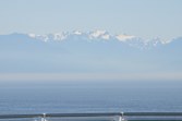 Enlarge photo 96