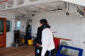 Enlarge photo 175