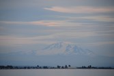 Enlarge photo 185