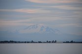 Enlarge photo 184