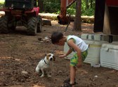 Enlarge photo 33