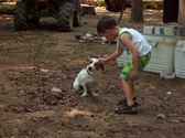 Enlarge photo 34