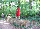 Enlarge photo 15