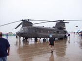 Enlarge photo 47