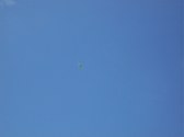Enlarge photo 74