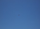 Enlarge photo 92