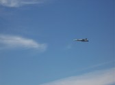 Enlarge photo 93